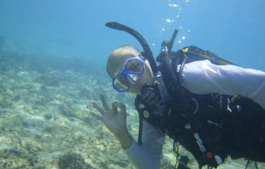 Diving with PADI Certified