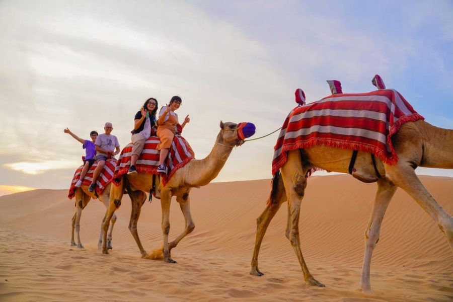 Desert Safari,Camel Ride & Al Khayma Camp